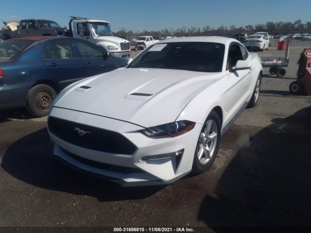 Photo 1 VIN: 1FA6P8TH1J5116498 - FORD MUSTANG 