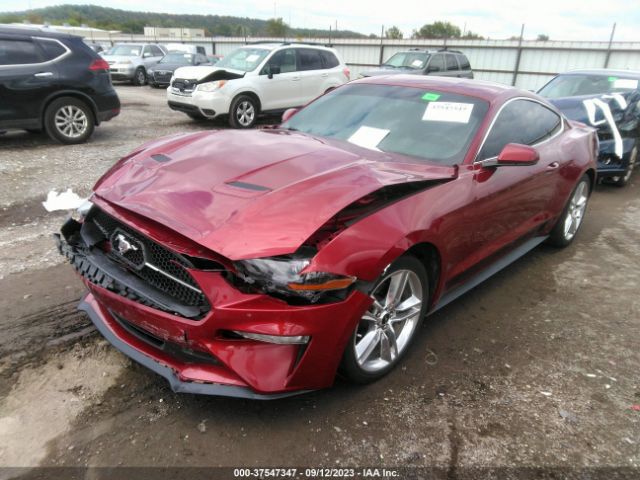 Photo 1 VIN: 1FA6P8TH1J5159545 - FORD MUSTANG 