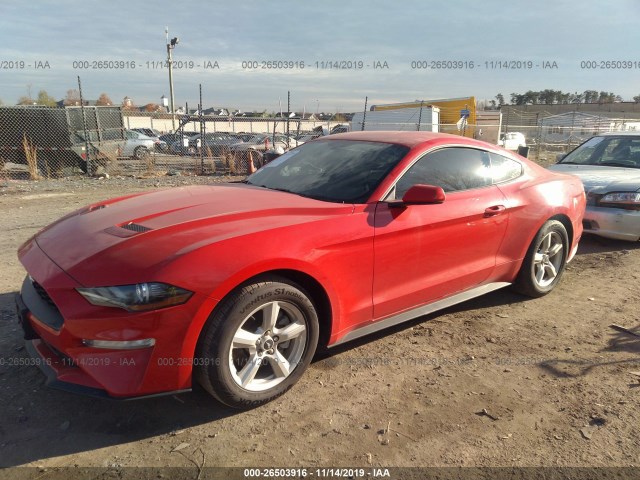 Photo 1 VIN: 1FA6P8TH1J5165250 - FORD MUSTANG 