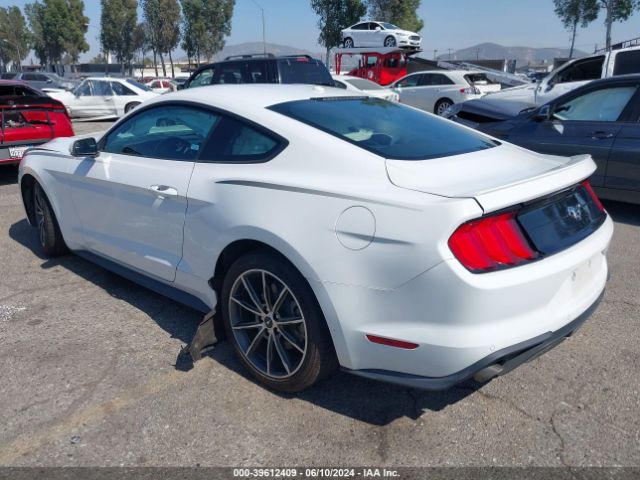 Photo 2 VIN: 1FA6P8TH1K5123467 - FORD MUSTANG 