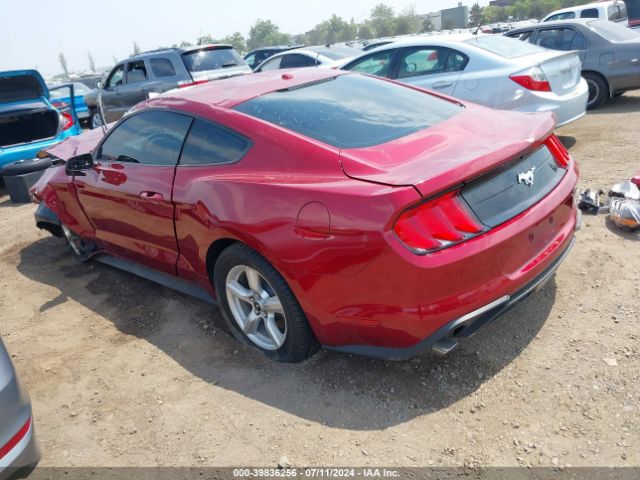 Photo 2 VIN: 1FA6P8TH1K5125655 - FORD MUSTANG 