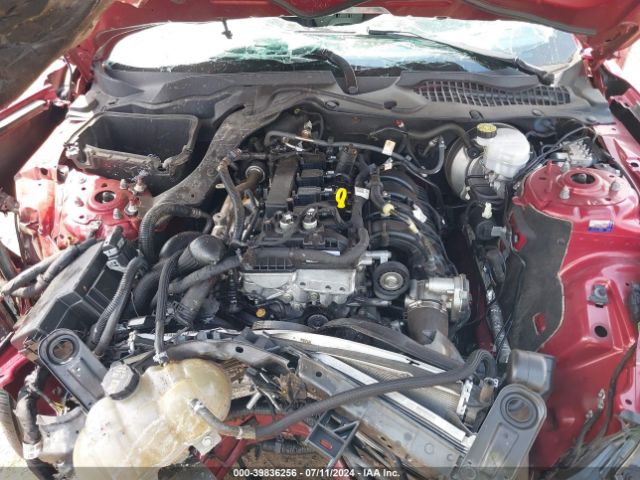 Photo 9 VIN: 1FA6P8TH1K5125655 - FORD MUSTANG 