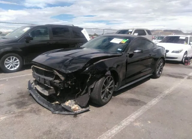 Photo 1 VIN: 1FA6P8TH1K5175097 - FORD MUSTANG 