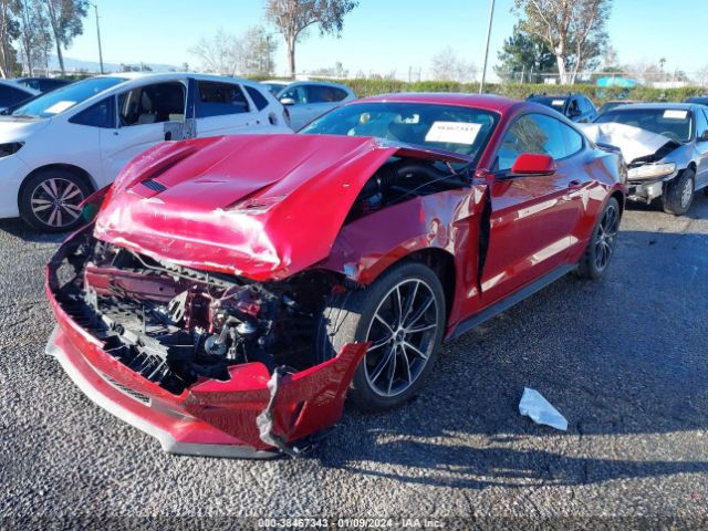 Photo 1 VIN: 1FA6P8TH1L5103995 - FORD MUSTANG 