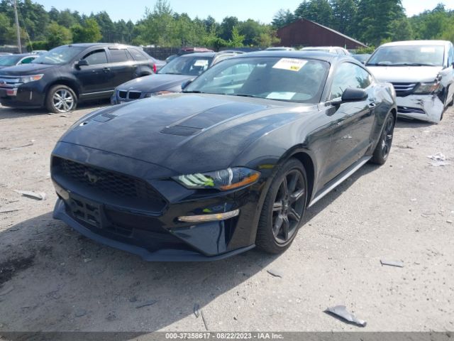 Photo 1 VIN: 1FA6P8TH1L5113765 - FORD MUSTANG 