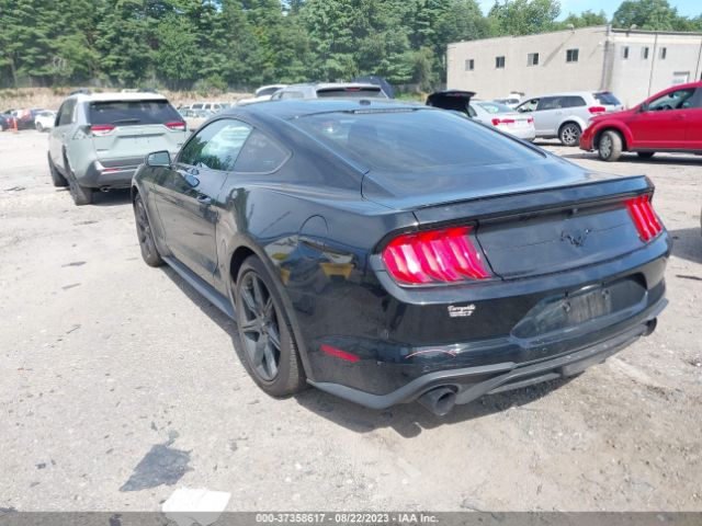 Photo 2 VIN: 1FA6P8TH1L5113765 - FORD MUSTANG 