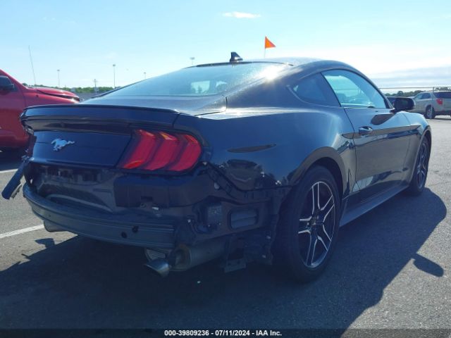 Photo 3 VIN: 1FA6P8TH1P5100679 - FORD MUSTANG 