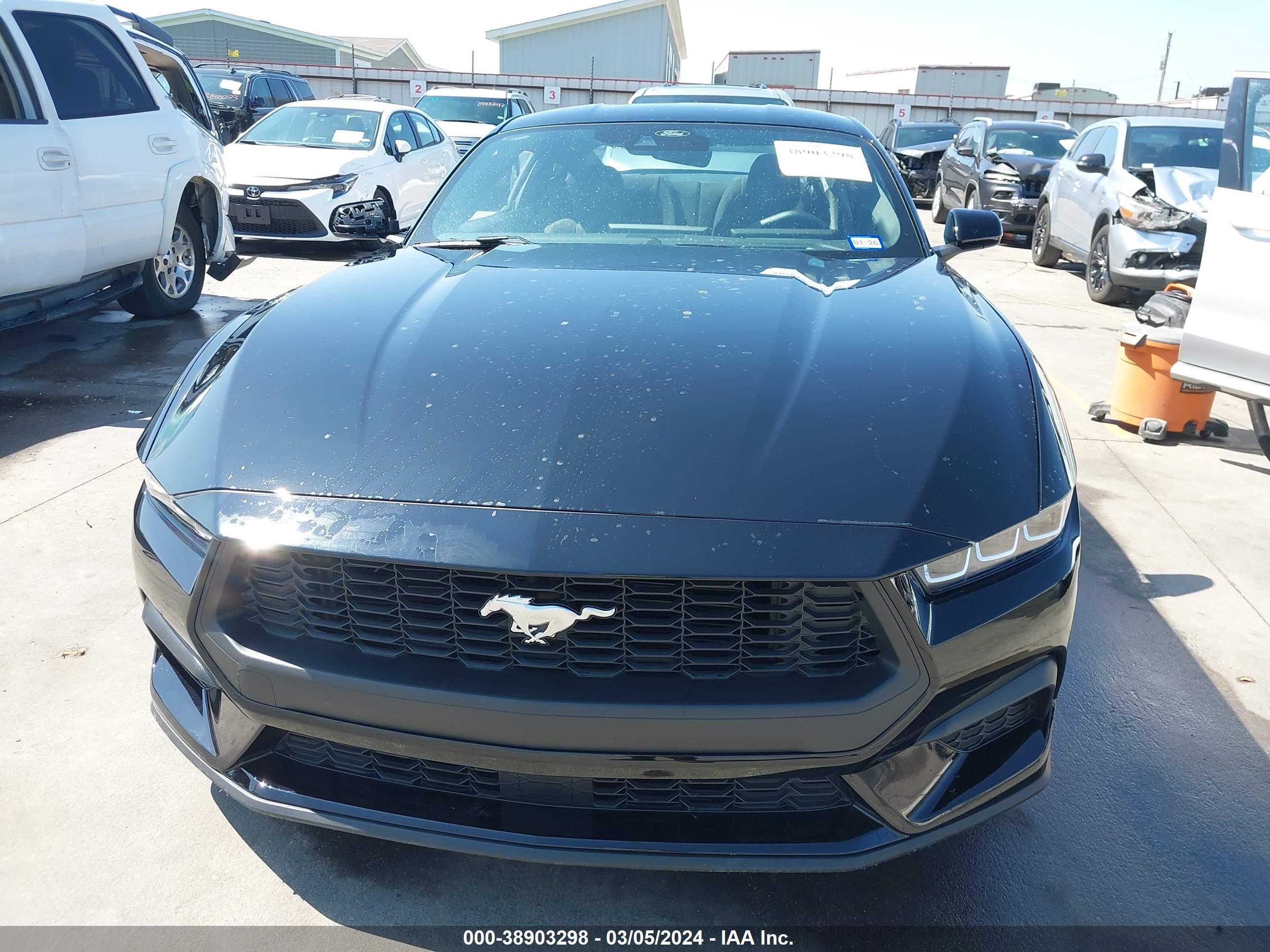 Photo 11 VIN: 1FA6P8TH1R5122183 - FORD MUSTANG 