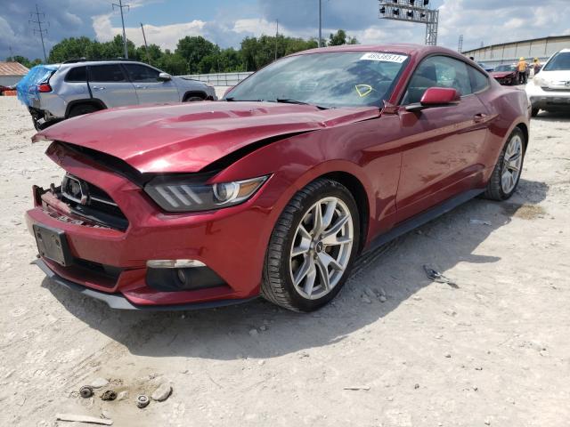 Photo 1 VIN: 1FA6P8TH2F5301702 - FORD MUSTANG 