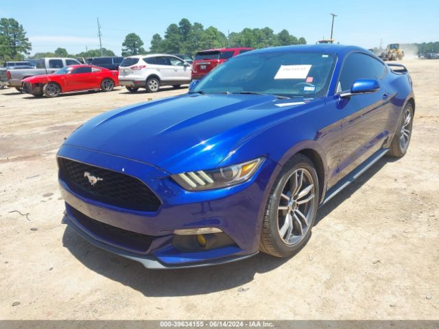 Photo 1 VIN: 1FA6P8TH2F5318158 - FORD MUSTANG 