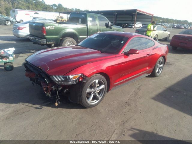 Photo 1 VIN: 1FA6P8TH2F5321318 - FORD MUSTANG 