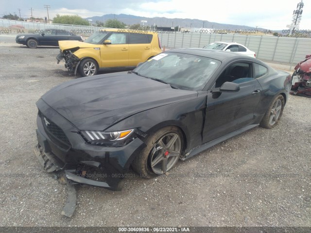 Photo 1 VIN: 1FA6P8TH2F5322923 - FORD MUSTANG 