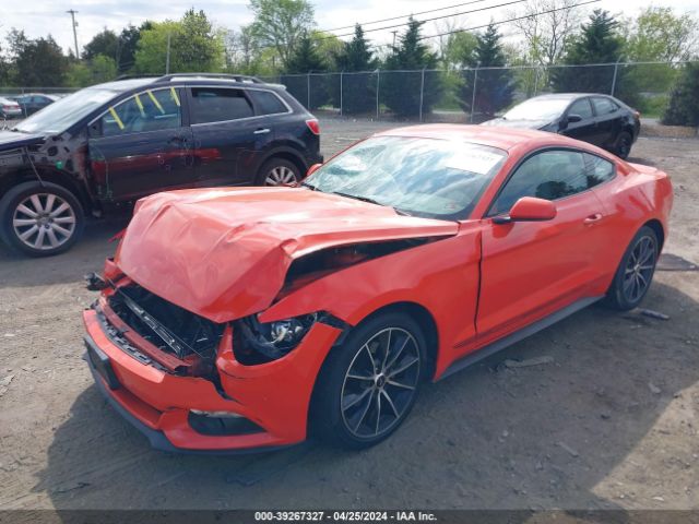 Photo 1 VIN: 1FA6P8TH2F5336479 - FORD MUSTANG 