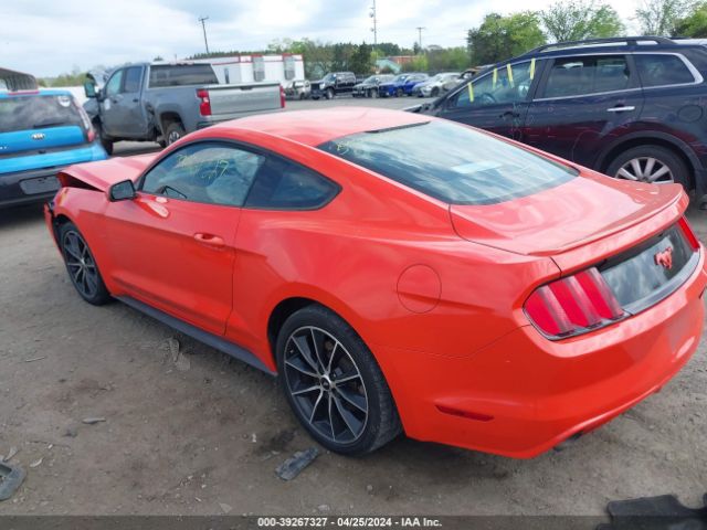 Photo 2 VIN: 1FA6P8TH2F5336479 - FORD MUSTANG 