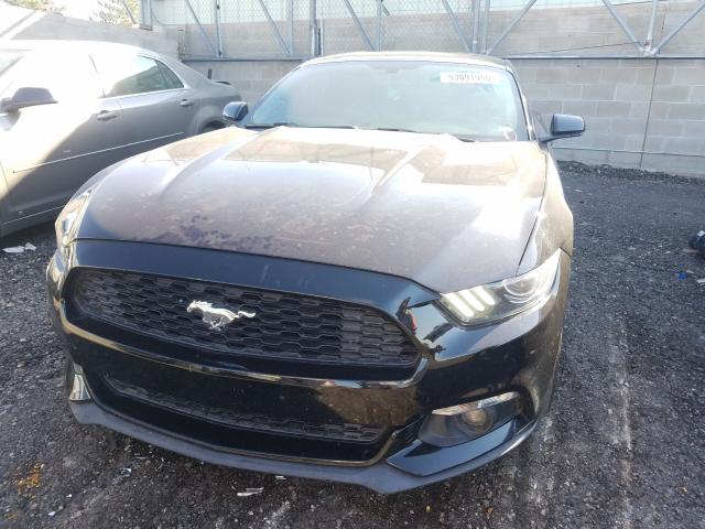 Photo 8 VIN: 1FA6P8TH2F5339138 - FORD MUSTANG 