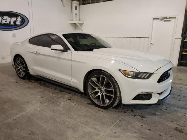 Photo 3 VIN: 1FA6P8TH2F5369515 - FORD MUSTANG 