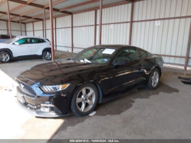 Photo 1 VIN: 1FA6P8TH2F5375962 - FORD MUSTANG 