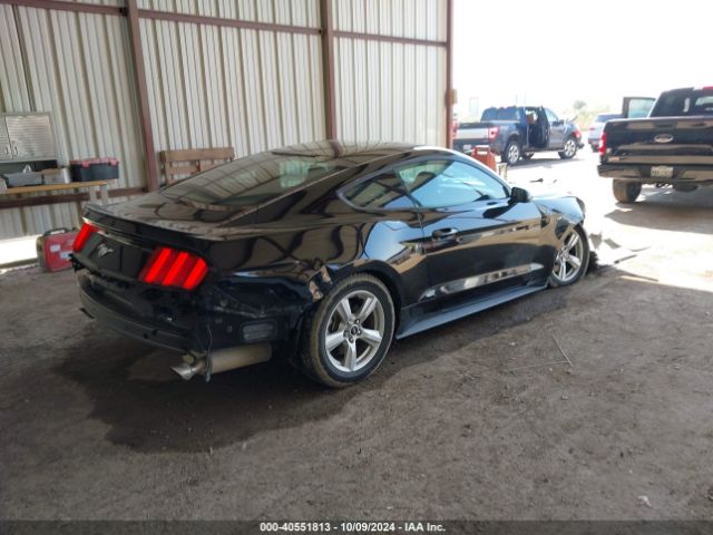 Photo 3 VIN: 1FA6P8TH2F5375962 - FORD MUSTANG 