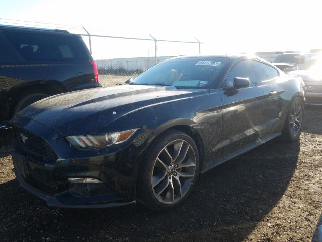 Photo 1 VIN: 1FA6P8TH2F5381325 - FORD MUSTANG 