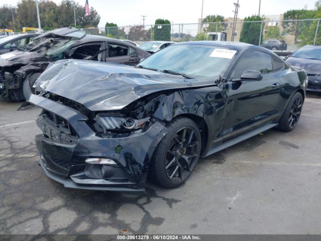 Photo 1 VIN: 1FA6P8TH2F5404022 - FORD MUSTANG 