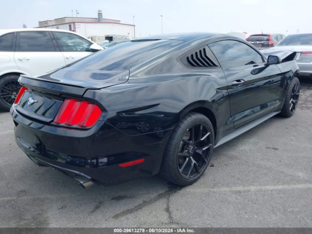 Photo 3 VIN: 1FA6P8TH2F5404022 - FORD MUSTANG 