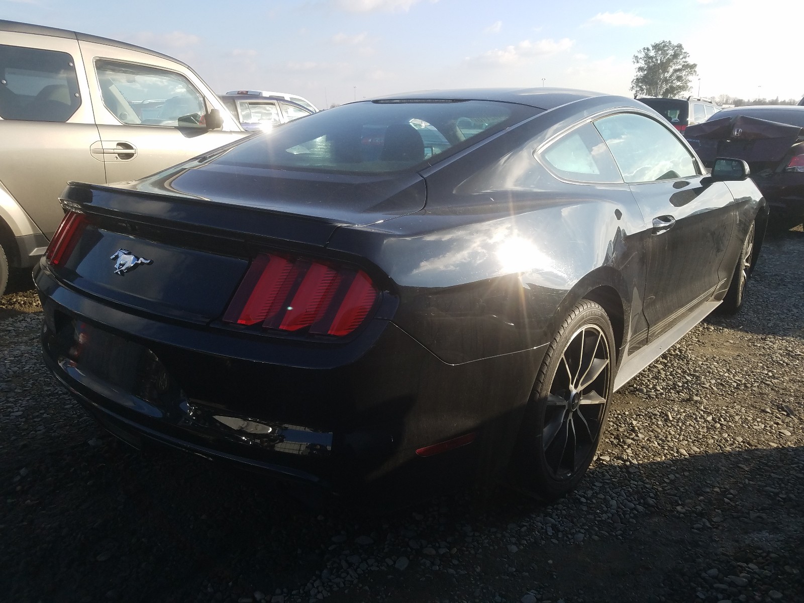 Photo 3 VIN: 1FA6P8TH2F5414243 - FORD MUSTANG 