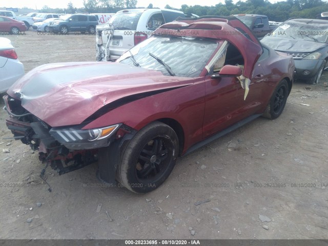 Photo 1 VIN: 1FA6P8TH2F5429390 - FORD MUSTANG 