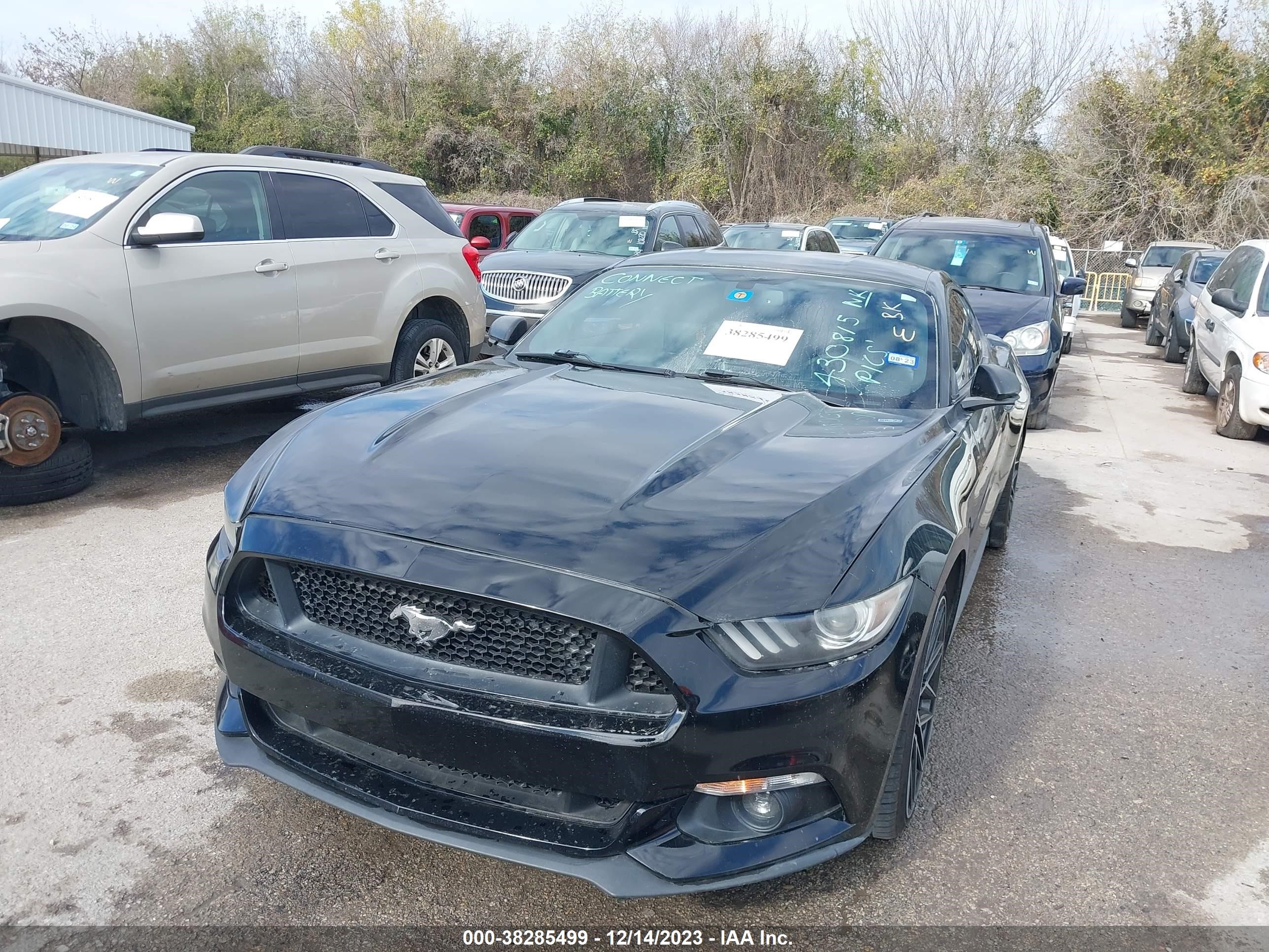 Photo 1 VIN: 1FA6P8TH2F5430815 - FORD MUSTANG 