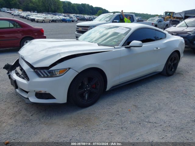 Photo 1 VIN: 1FA6P8TH2F5433438 - FORD MUSTANG 