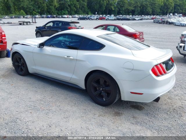 Photo 2 VIN: 1FA6P8TH2F5433438 - FORD MUSTANG 