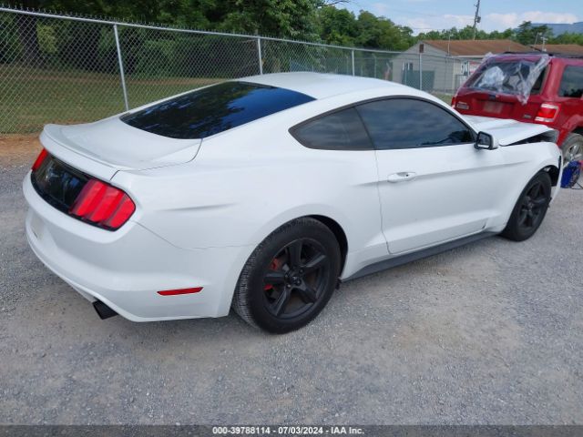 Photo 3 VIN: 1FA6P8TH2F5433438 - FORD MUSTANG 