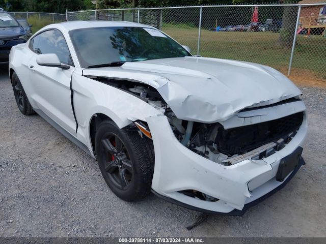 Photo 5 VIN: 1FA6P8TH2F5433438 - FORD MUSTANG 