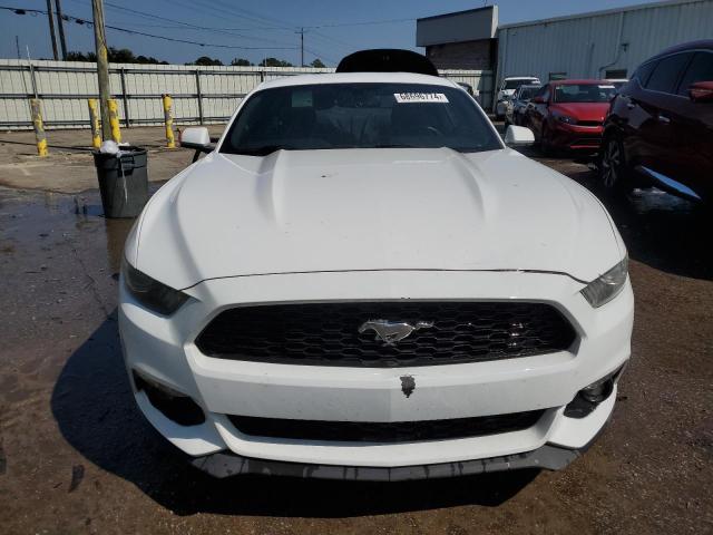 Photo 4 VIN: 1FA6P8TH2G5241003 - FORD MUSTANG 