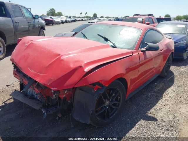 Photo 1 VIN: 1FA6P8TH2G5243611 - FORD MUSTANG 