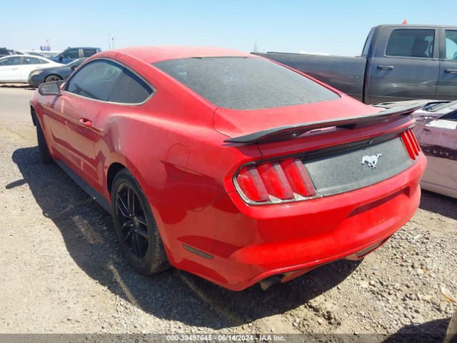 Photo 2 VIN: 1FA6P8TH2G5243611 - FORD MUSTANG 