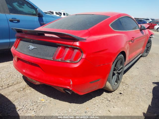 Photo 3 VIN: 1FA6P8TH2G5243611 - FORD MUSTANG 