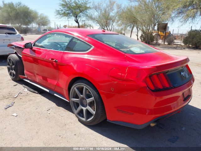 Photo 2 VIN: 1FA6P8TH2G5243821 - FORD MUSTANG 