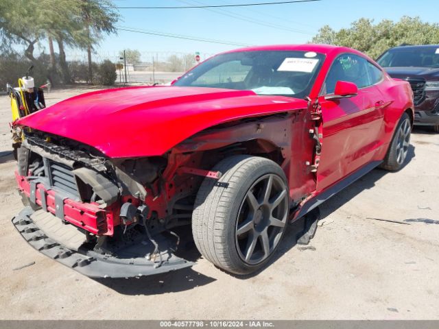 Photo 5 VIN: 1FA6P8TH2G5243821 - FORD MUSTANG 