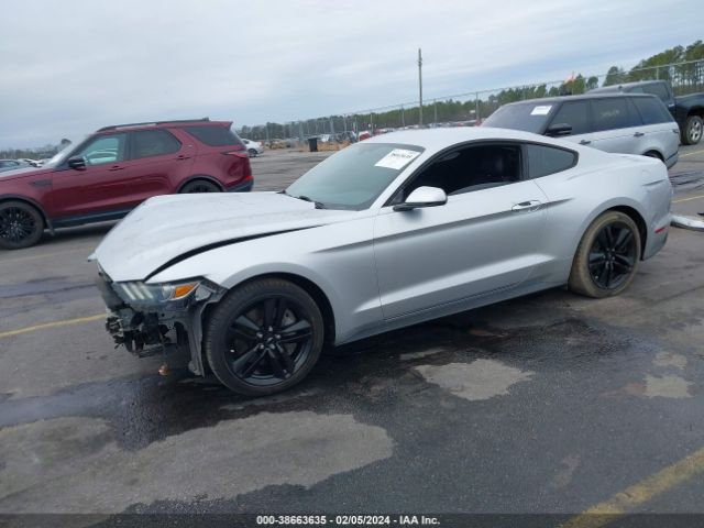 Photo 1 VIN: 1FA6P8TH2G5259145 - FORD MUSTANG 