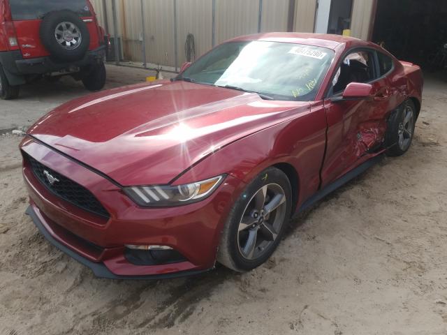 Photo 1 VIN: 1FA6P8TH2G5265351 - FORD MUSTANG 