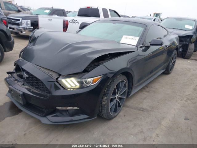 Photo 1 VIN: 1FA6P8TH2G5278598 - FORD MUSTANG 