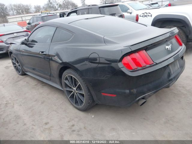 Photo 2 VIN: 1FA6P8TH2G5278598 - FORD MUSTANG 