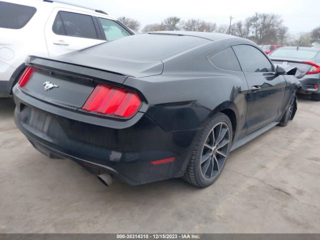 Photo 3 VIN: 1FA6P8TH2G5278598 - FORD MUSTANG 