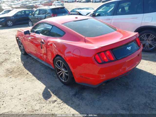 Photo 2 VIN: 1FA6P8TH2G5281629 - FORD MUSTANG 