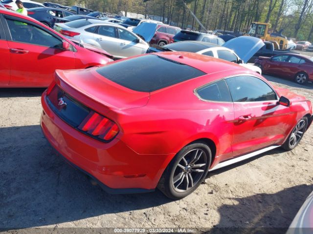 Photo 3 VIN: 1FA6P8TH2G5281629 - FORD MUSTANG 