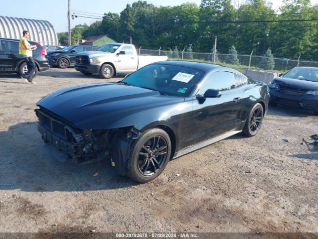 Photo 1 VIN: 1FA6P8TH2G5282876 - FORD MUSTANG 