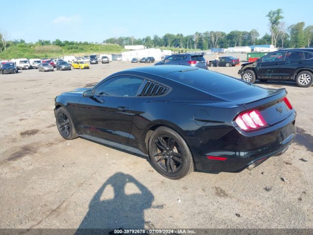 Photo 2 VIN: 1FA6P8TH2G5282876 - FORD MUSTANG 