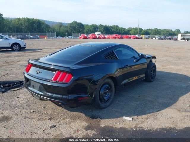 Photo 3 VIN: 1FA6P8TH2G5282876 - FORD MUSTANG 