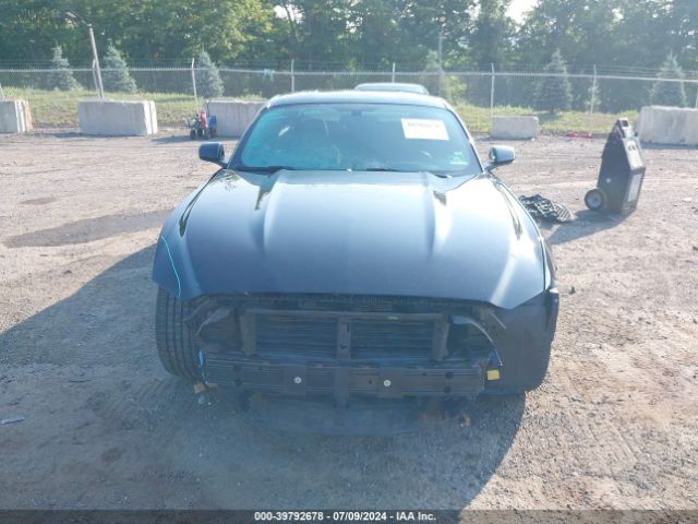 Photo 5 VIN: 1FA6P8TH2G5282876 - FORD MUSTANG 