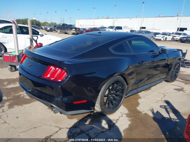 Photo 3 VIN: 1FA6P8TH2G5288936 - FORD MUSTANG 